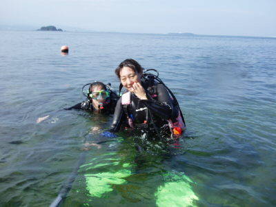 Blue Dolphin Japan