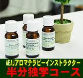 ★ AEAJアロマテラピーインストラクター受験のための半分独学コース■名古屋市
