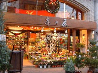 田園調布カルチャースクール