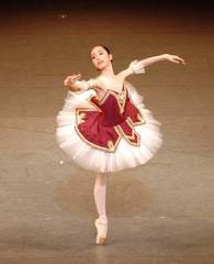Y's Dance Company