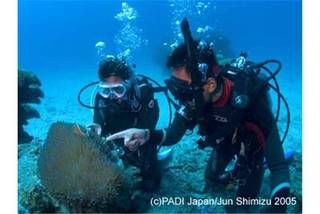 【初心者向け】PADI　ダイビング　ライセンス　取得コース