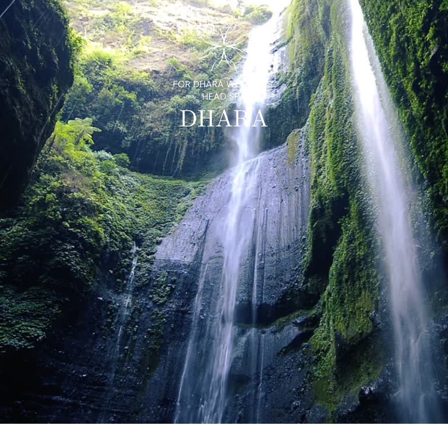 癒手技學アカデミー